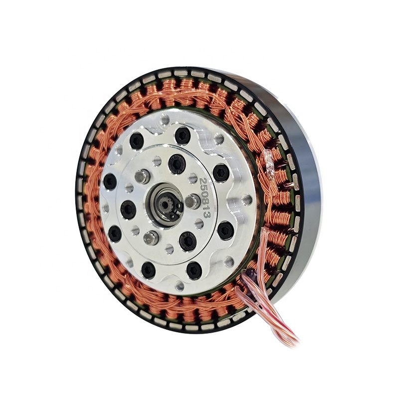 Integrierter 24V 48V Hochdrehm – Bldc Planetary Gear Motor 48V High Torque Bewertung und Preis